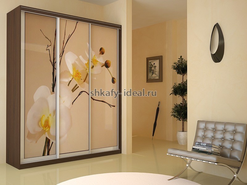 shop1646