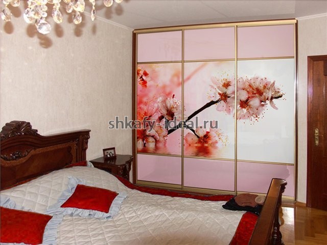shop1672