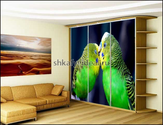 shop1685